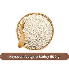 Attēlu rezultāti vaicājumam “Hordeum vulgare fruit”