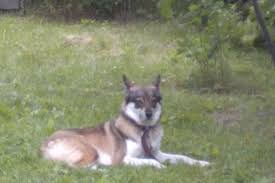 Image result for site:buyreklama.ru/*