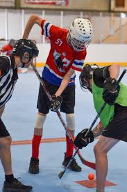 Image result for Ealing Eagles Ball Hockey Club