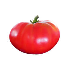 Afbeeldingsresultaat voor mortgage lifter bicolor strain tomato