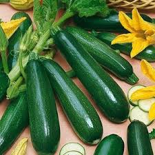 Image result for Zucchini