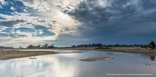 Image result for Slough