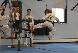 Image result for United Sport Karate