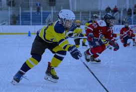 Image result for Tenbury Hockey Club