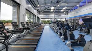 Image result for City Of Coventry Rhythmic Gym Club