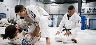 Image result for Wanstead JuJitsu Club