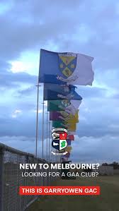 Image result for Garryowen Gfc