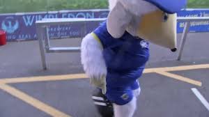 Image result for Wombles Netball Club