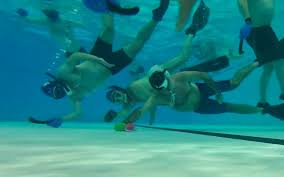 Image result for Worcester Divers Octopush Club