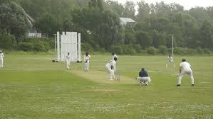Image result for Seamer Bowling Club