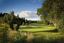 Image result for Addington Palace Golf Club Ltd