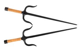 Image result for Sai Martial Arts