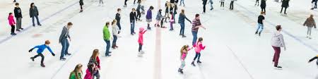 Image result for Guildford Ice Figure Skating Club