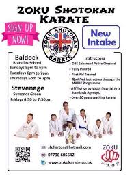 Image result for ZOKU SHOTOKAN KARATE (Baldock)