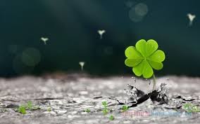 Kết quả hình ảnh cho hinh anh