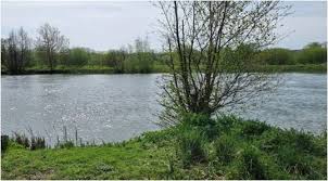 Image result for Thames Valley Angling