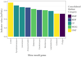 Attēlu rezultāti vaicājumam “Oligonema flavidum sessile”