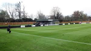 Image result for Leatherhead Football Club