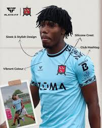 Image result for Sean Treacy`s Hurling Club