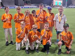 Image result for Nazeing Common Cricket Club