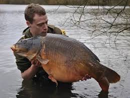 Image result for Crowthorne Angling