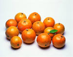 Oranges « Learning world