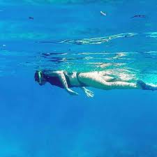 Image result for Belfairs Dolphins Snorkelling Club