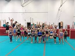 Image result for Sheredes Gymnastics Club