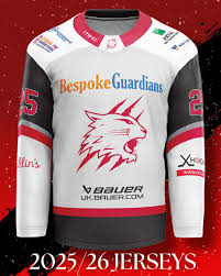 Image result for Swindon Panthers