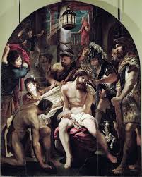 Attēlu rezultāti vaicājumam “Collaria rubens stalked”