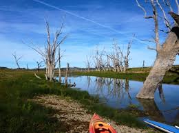 Image result for Tamworth Canoe Club