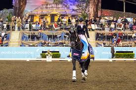 Image result for Interfreestyle Sport Karate