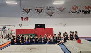 Image result for Pegasus Trampoline Club
