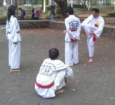 Image result for Silat Pd (Perisai Diri) UK