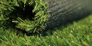 Image result for Astroturf