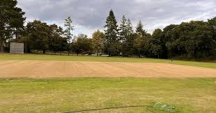 Image result for North Petherton Cricket Club