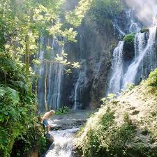 Image result for Dartmouth Badminton Club