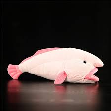 Image result for blobfish