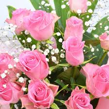 「花薔薇エルフ」の画像検索結果