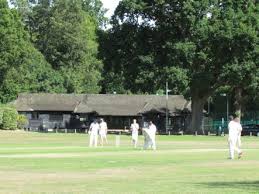 Image result for Horsley & Send Cricket Club