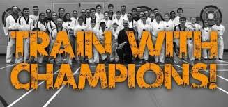 Image result for Torbay Taekwondo Schools