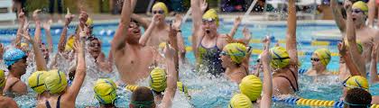 Image result for Box Hill Swim Team