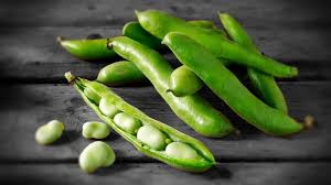 Image result for Dicke Bohnen