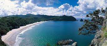 Image result for new chums beach