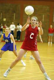 Image result for Wombles Netball Club