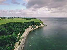 Image result for stevns klint