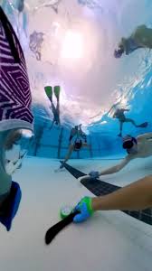 Image result for Nautilus Underwater Hockey Club