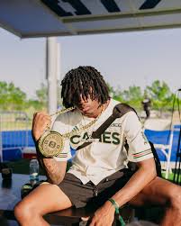 Attēlu rezultāti vaicājumam “Diderma roanense”