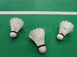 Image result for Shuttlecocks Badminton Club