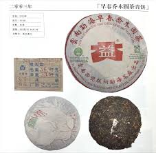 Image result for 2003早春